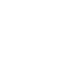 Excelsia Development