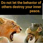 Freinds From Church