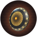 Amazon Shield