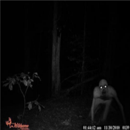 What a deer hunter cam picked up....... scary Roblox decal