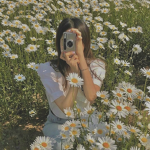 .flowerfields.
