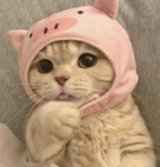 하얀오리그룹