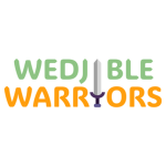 Wedjible Warriors