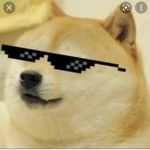 Humanity of doges