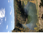Nature life is awsome