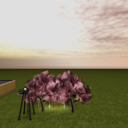 Catypink juega
