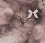 KWITTYZ :3
