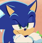 SonicNav