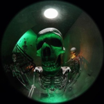 Dark Peyo