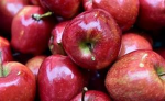 apple man following