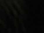 Rex’s cove