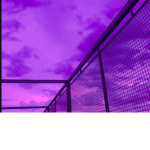 Dark RBLX Nation