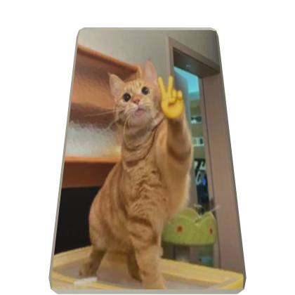 Peace Cat Cape