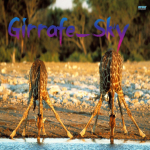 Girrafe_sky