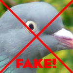 Birds Aren't Real!