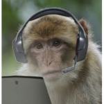 “The Epic Monkeys”