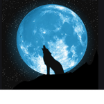 Shadow, Mooncloud, Darkcloud the wolfs