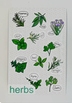 /-herb garden-\