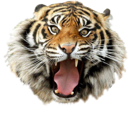 PRAISE THE TIGER