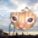 CuteCatClub Group Thumbnail