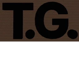 Testing Game TG icon
