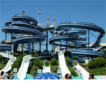 Usa Musment Park