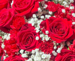 Kiwi The Hedgehog™