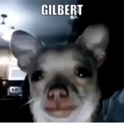 Gilbert city