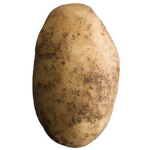 Potato’s r life