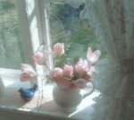 ~ The little friends ~