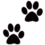Animal People ONLY!