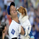 大谷翔平ファンクラブ