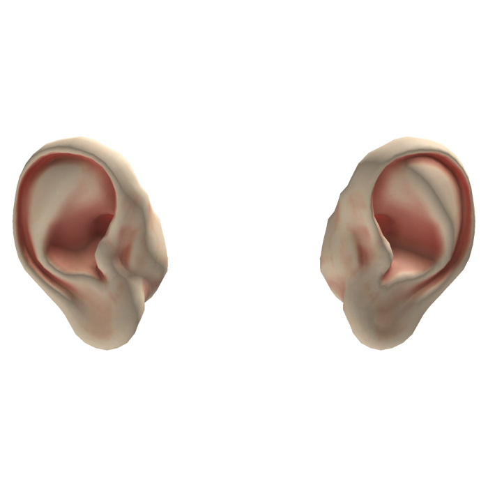 Huge Ears