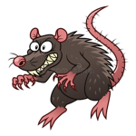 ground rats