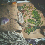 || Blight Academy ||