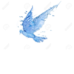 Water bird Studios