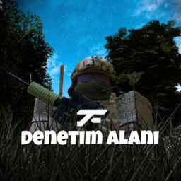 | TF | Denetim Alanı