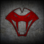 〔- Viper Program -〕