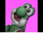 yoshi1200
