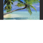 Paradise1243