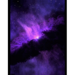 Purpled bois