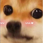ClumzyWonsyPLS