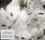 velency