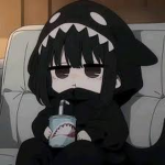 FANF FLIX