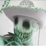 cσlαs