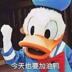 Duck Group :V