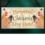 Chicken Squad! :)