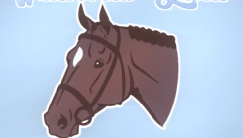 Water Brook Stables Equestrian Center