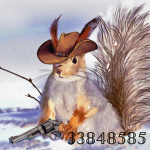 Squirrel2011