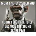 no pee all poo